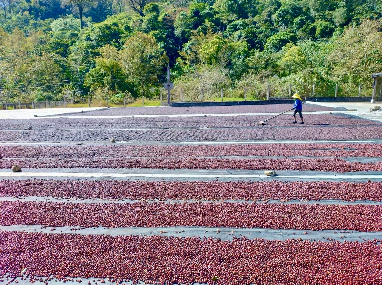 Over-The-Road Coffee